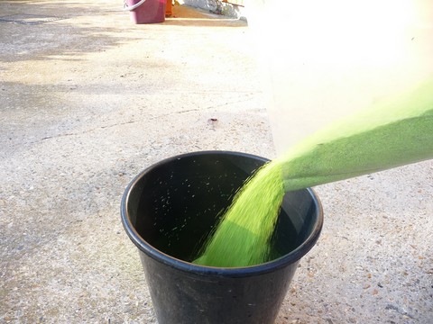 verser le sable vert grany de taille 0.5-1 mm